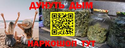 стаф Кинель