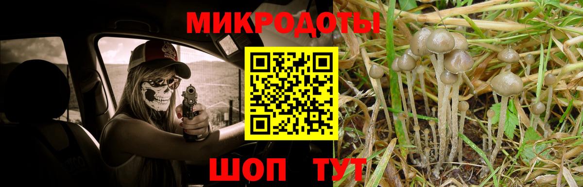 Галлюциногенные грибы GOLDEN TEACHER Буйнакск