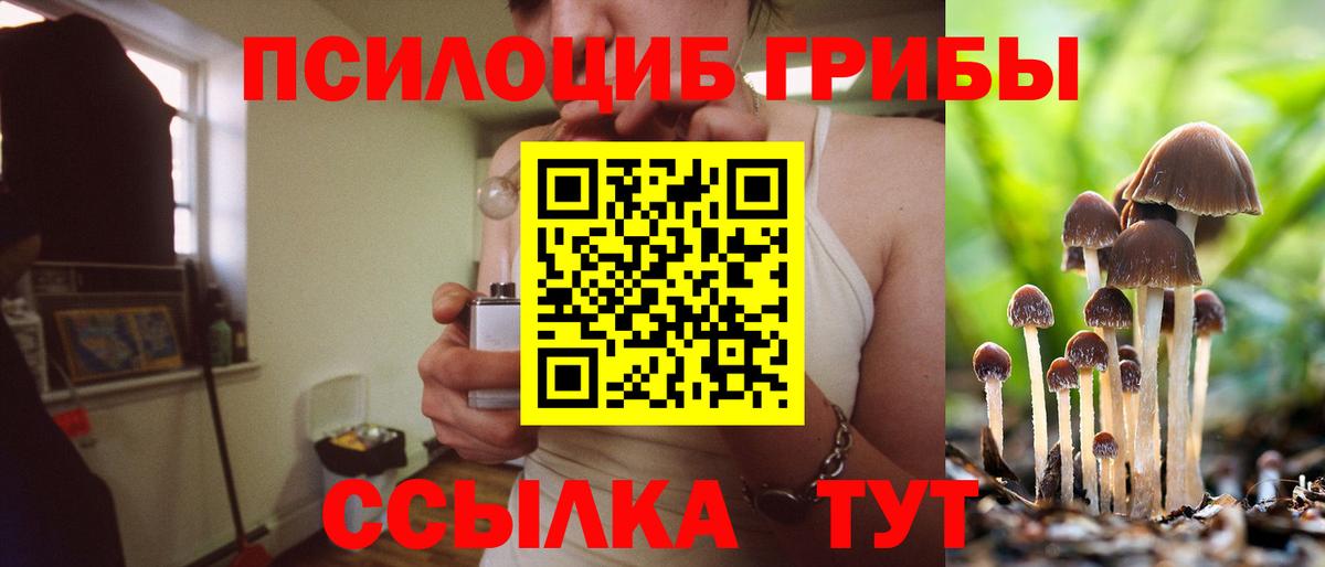 Галлюциногенные грибы Magic Shrooms  Вход с VPN  Буйнакск  Псилоцибиновые грибы Magic Shrooms 